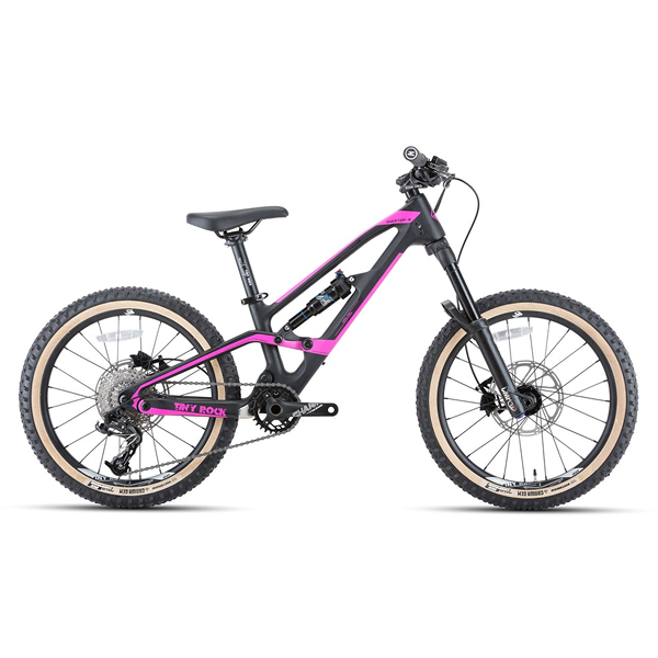 Tiny Rock, 20″ Master S (Carbon Rahmen)